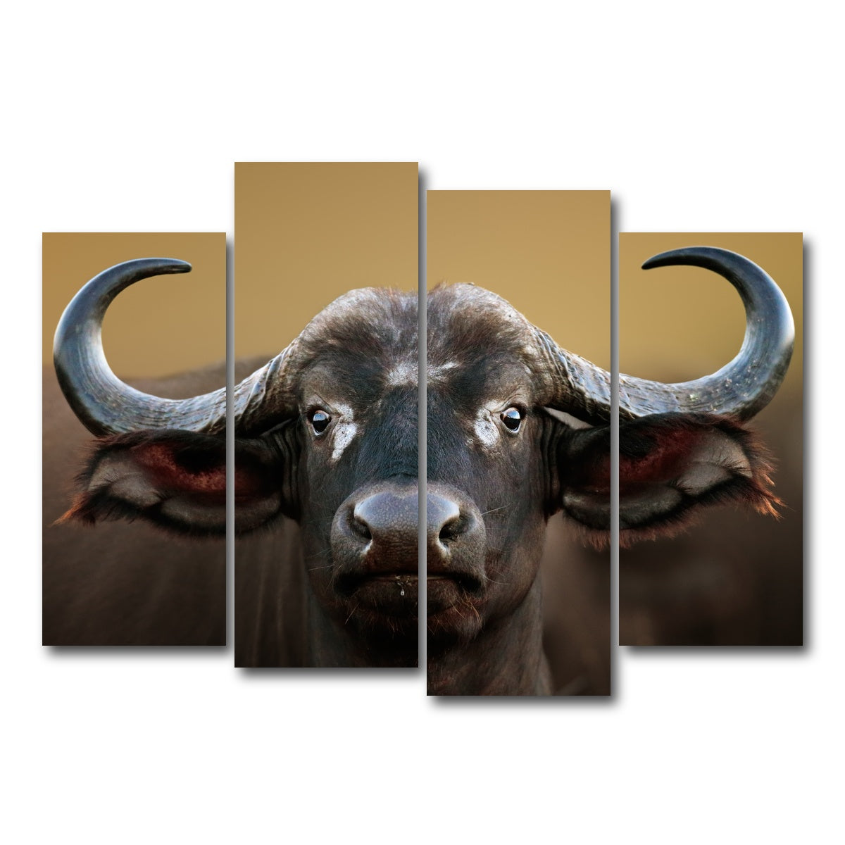 AUTO-MOCKUP WHITE | Cape Buffalo - Kruger National Park | 4 Piece | Gallery Wrap Canvas | group=4_normal