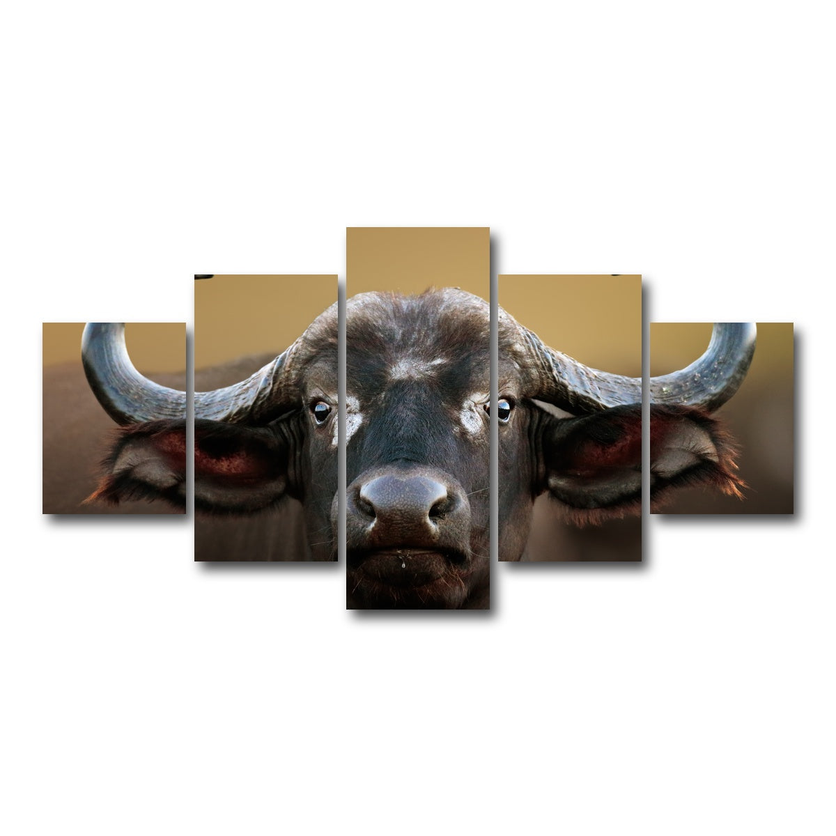 AUTO-MOCKUP WHITE | Cape Buffalo - Kruger National Park | 5 Piece | Gallery Wrap Canvas | group=5_short