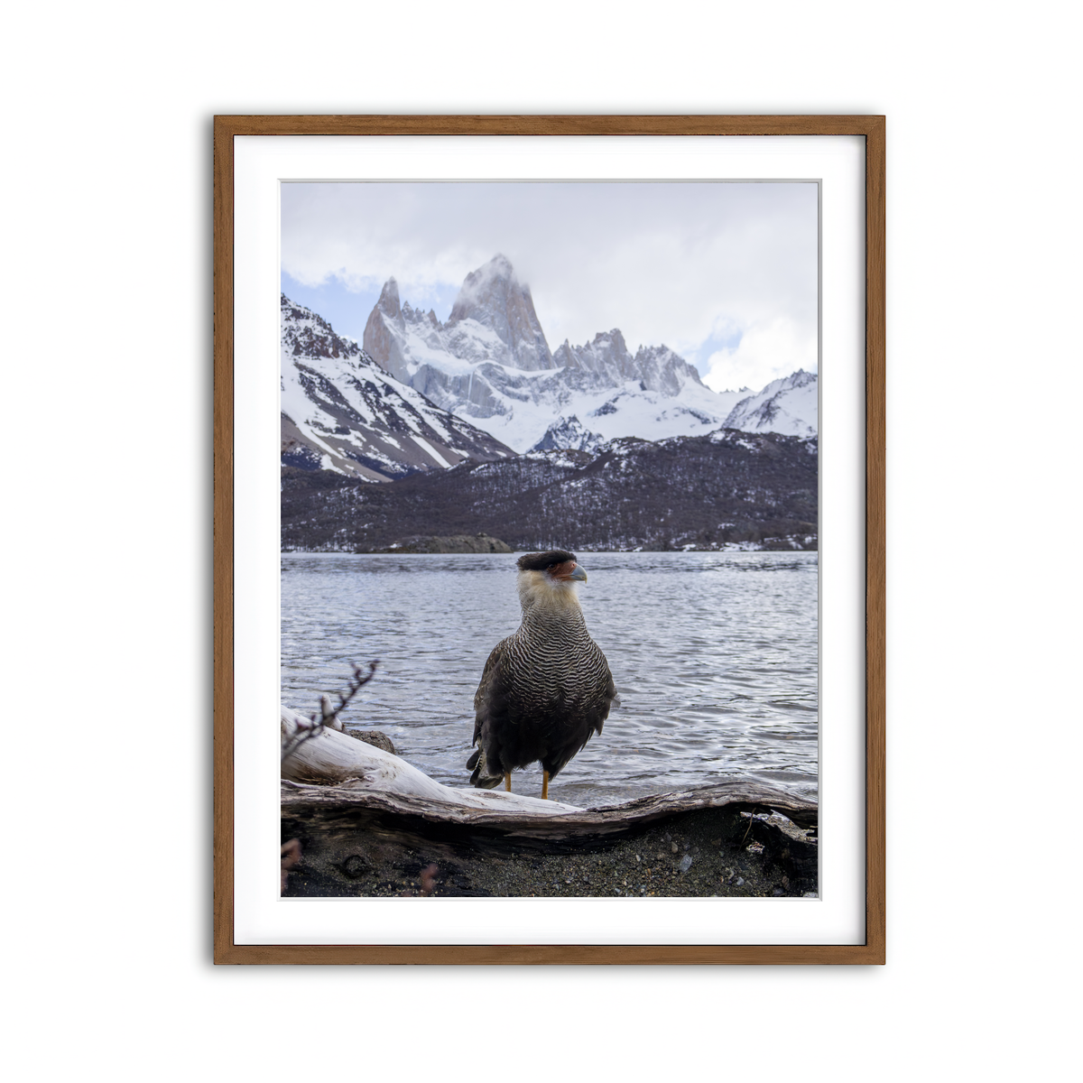Framed Print 3x4 Walnut