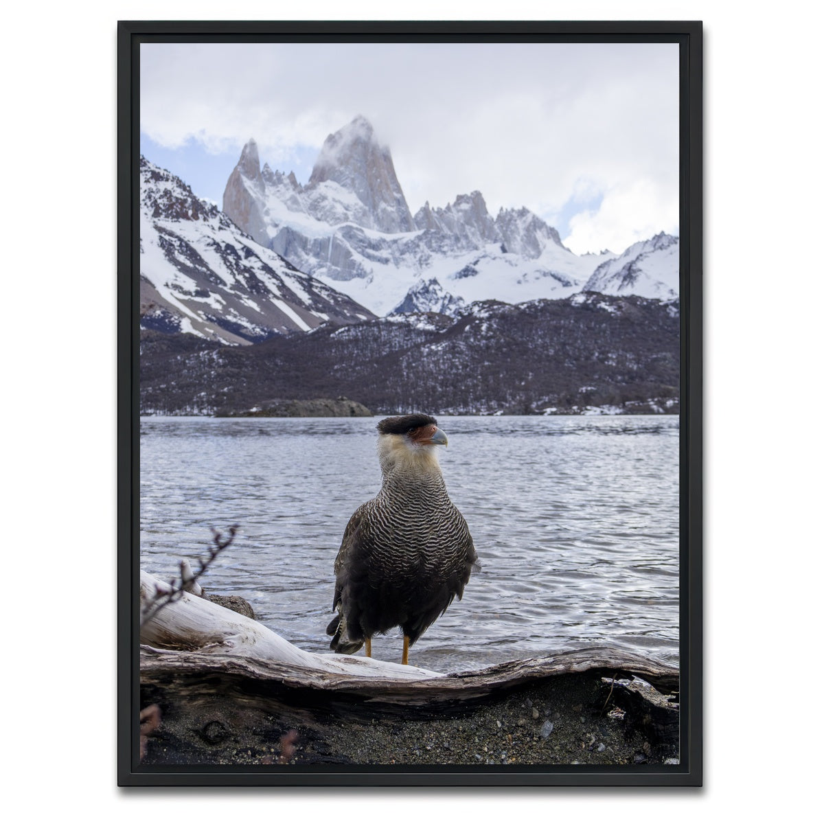 AUTO-MOCKUP WHITE | Carcara and Fitz Roy | 1 Piece | Black Framed Canvas | group=3x4