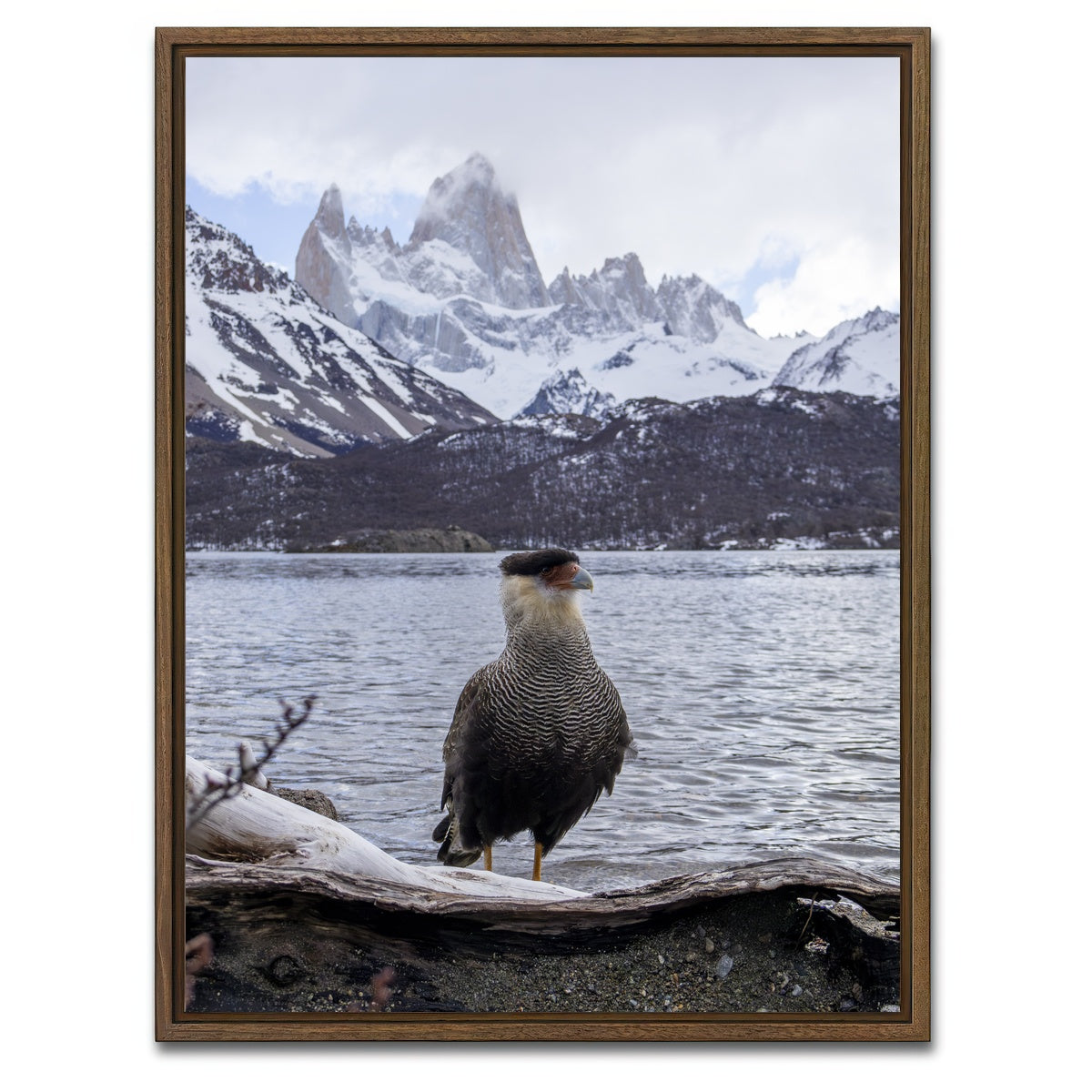 AUTO-MOCKUP WHITE | Carcara and Fitz Roy | 1 Piece | Walnut Framed Canvas | group=3x4