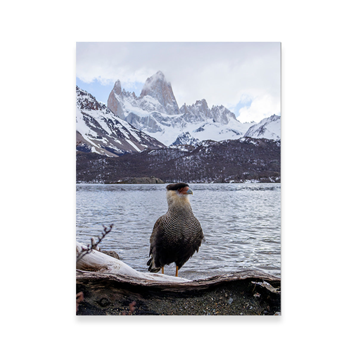 Carcará and Fitz Roy Wall Art