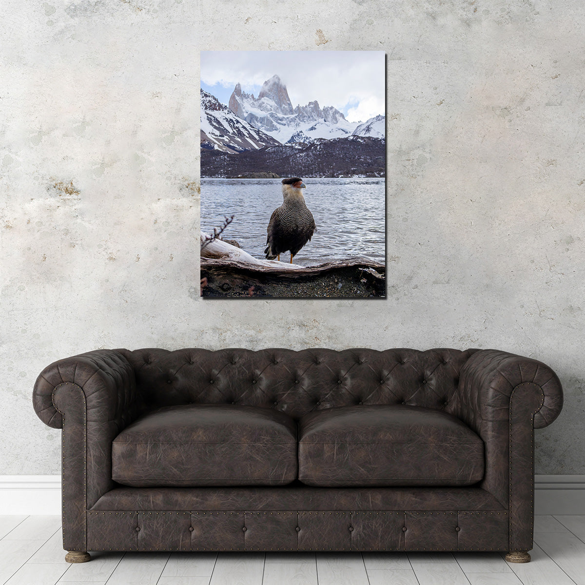 Carcará and Fitz Roy Wall Art