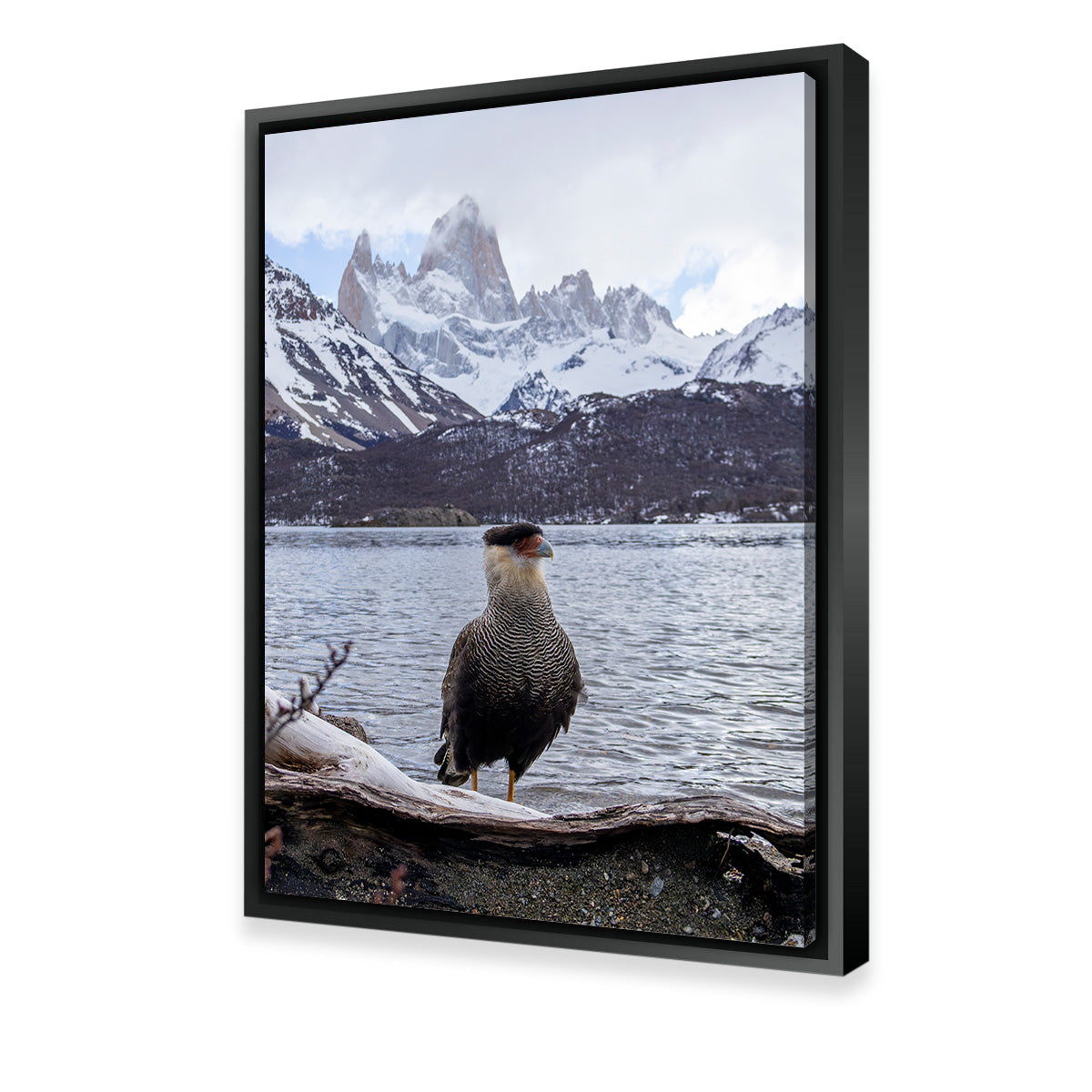 Carcará and Fitz Roy Wall Art