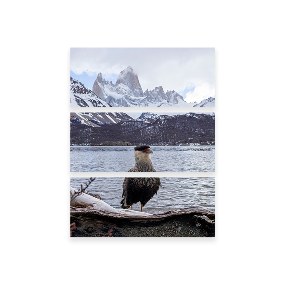 Carcará and Fitz Roy Wall Art