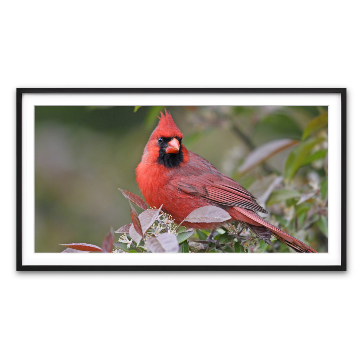 Framed Print 2x1 Black