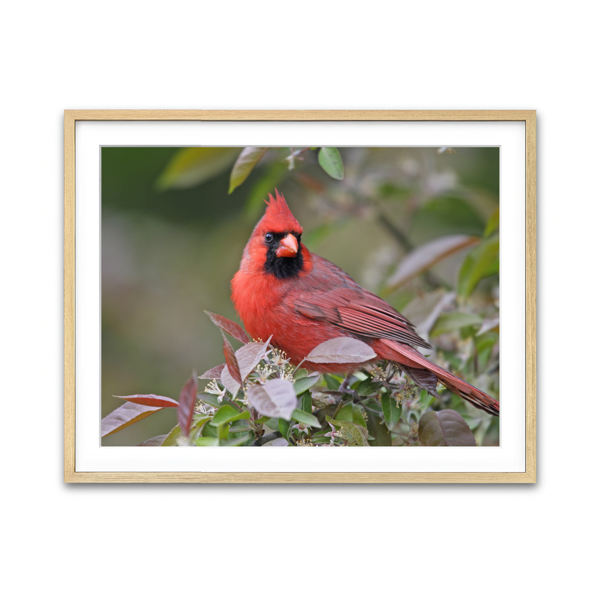 Framed Print 4x3 Natural