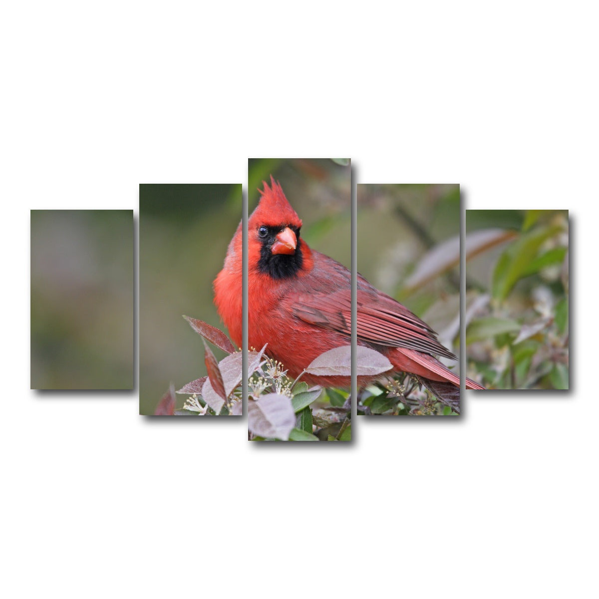 AUTO-MOCKUP WHITE | Cardinal Perched | 5 Piece | Gallery Wrap Canvas | group=5_normal
