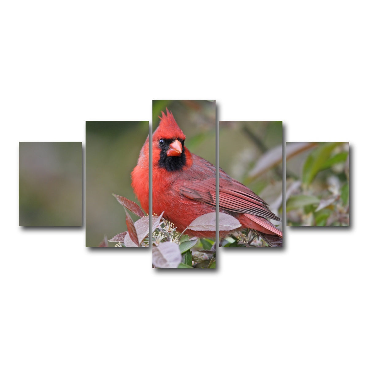 AUTO-MOCKUP WHITE | Cardinal Perched | 5 Piece | Gallery Wrap Canvas | group=5_short