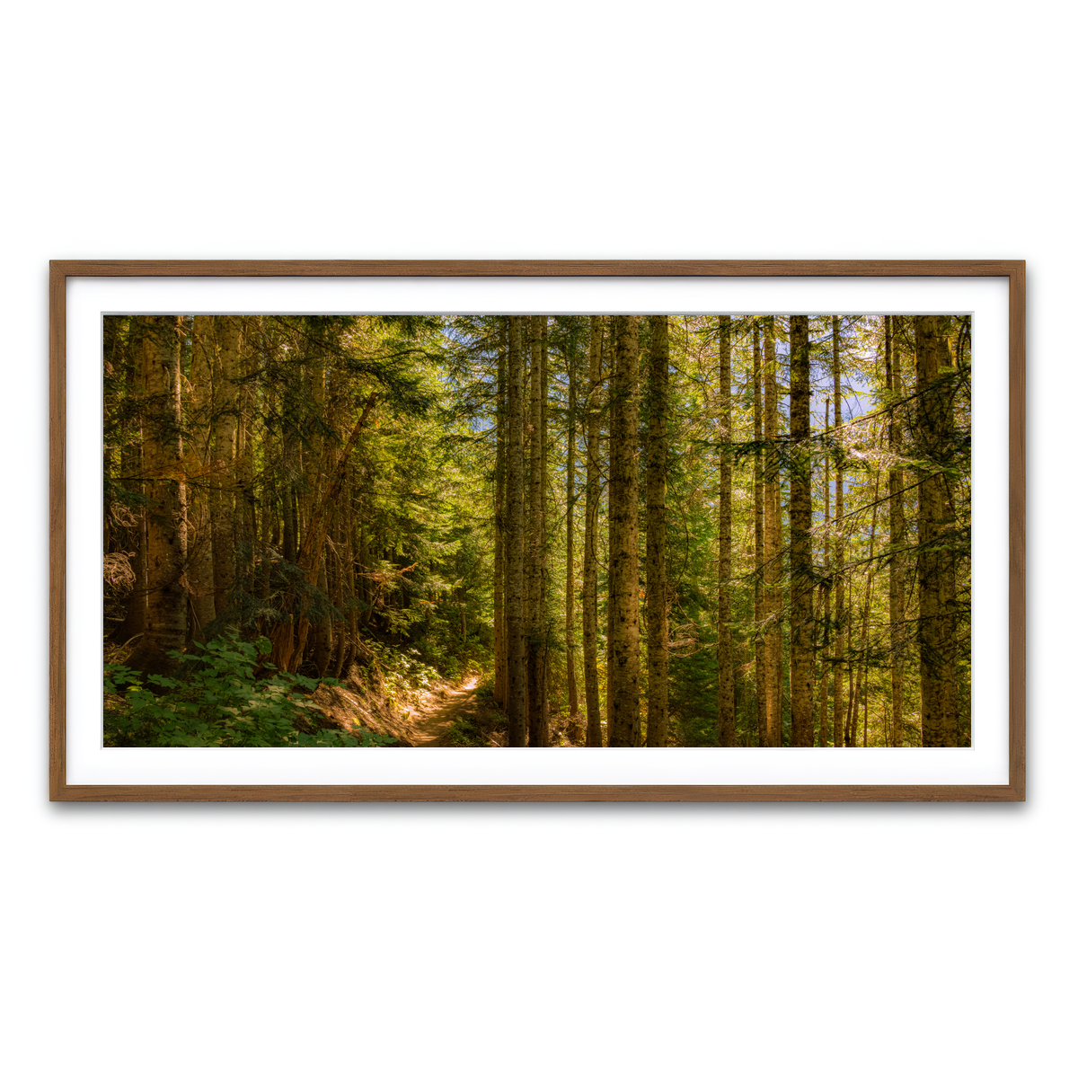 Framed Print 2x1 Walnut