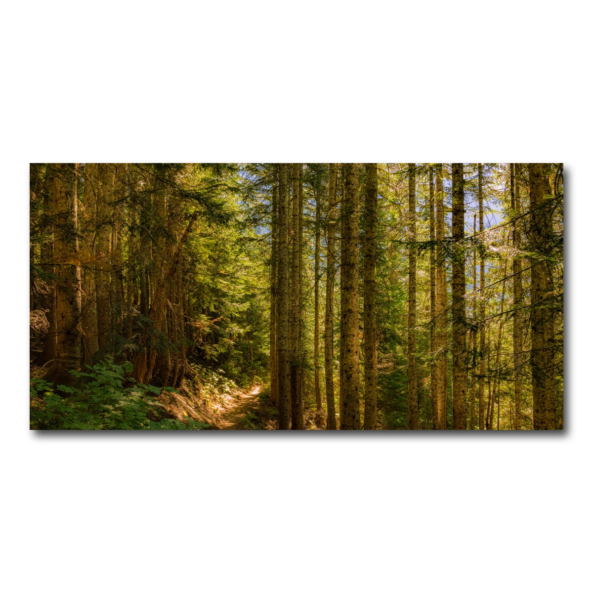 AUTO-MOCKUP WHITE | Cascade Pass | 1 Piece | Gallery Wrap Canvas | group=2x1