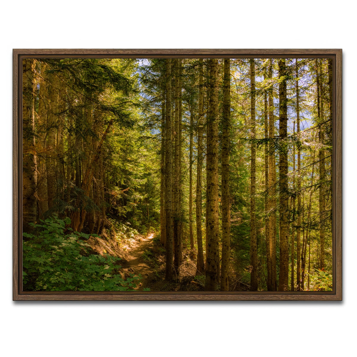 AUTO-MOCKUP WHITE | Cascade Pass | 1 Piece | Walnut Framed Canvas | group=4x3