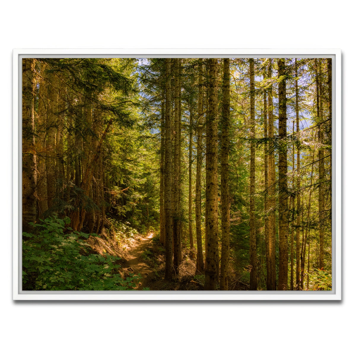AUTO-MOCKUP WHITE | Cascade Pass | 1 Piece | White Framed Canvas | group=4x3