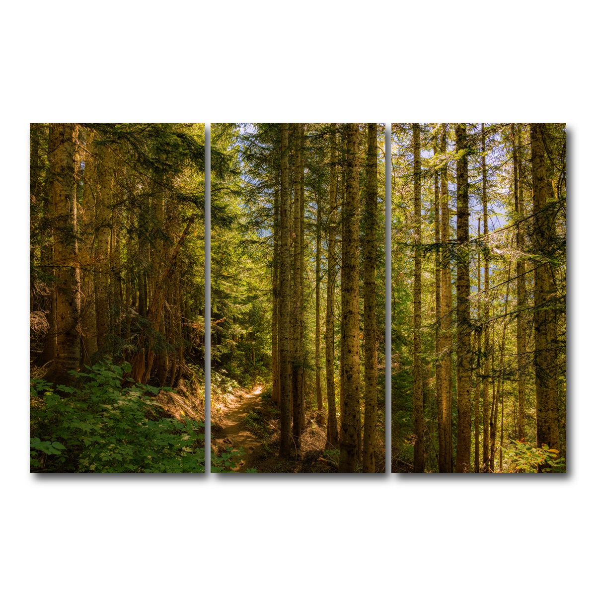 AUTO-MOCKUP WHITE | Cascade Pass | 3 Piece | Gallery Wrap Canvas | group=12x24