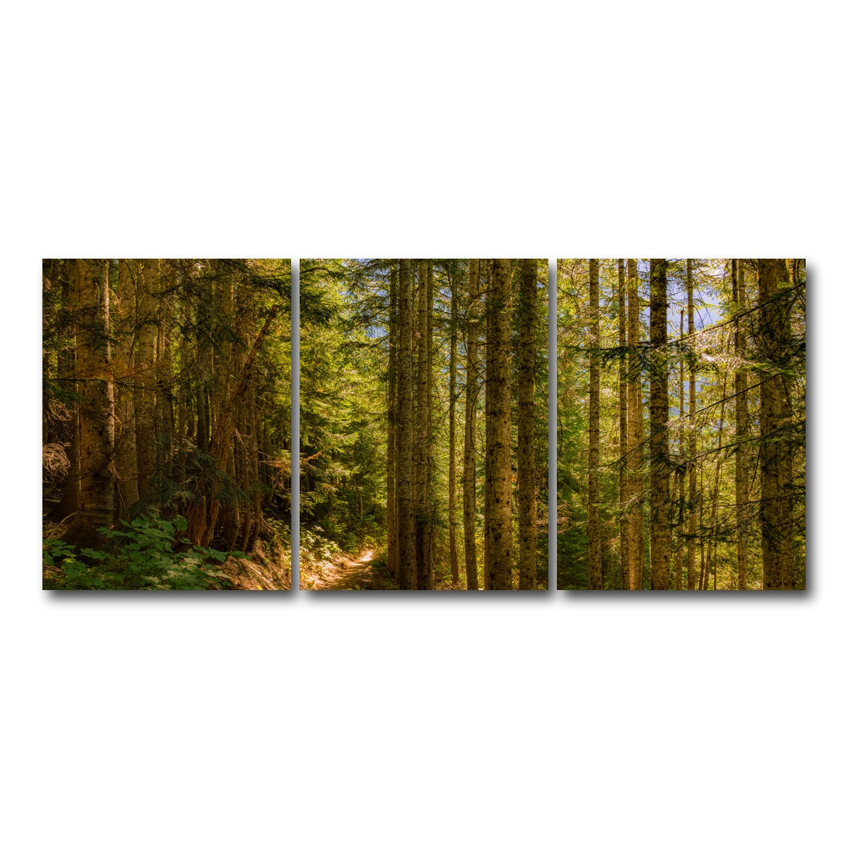 AUTO-MOCKUP WHITE | Cascade Pass | 3 Piece | Gallery Wrap Canvas | group=18x24