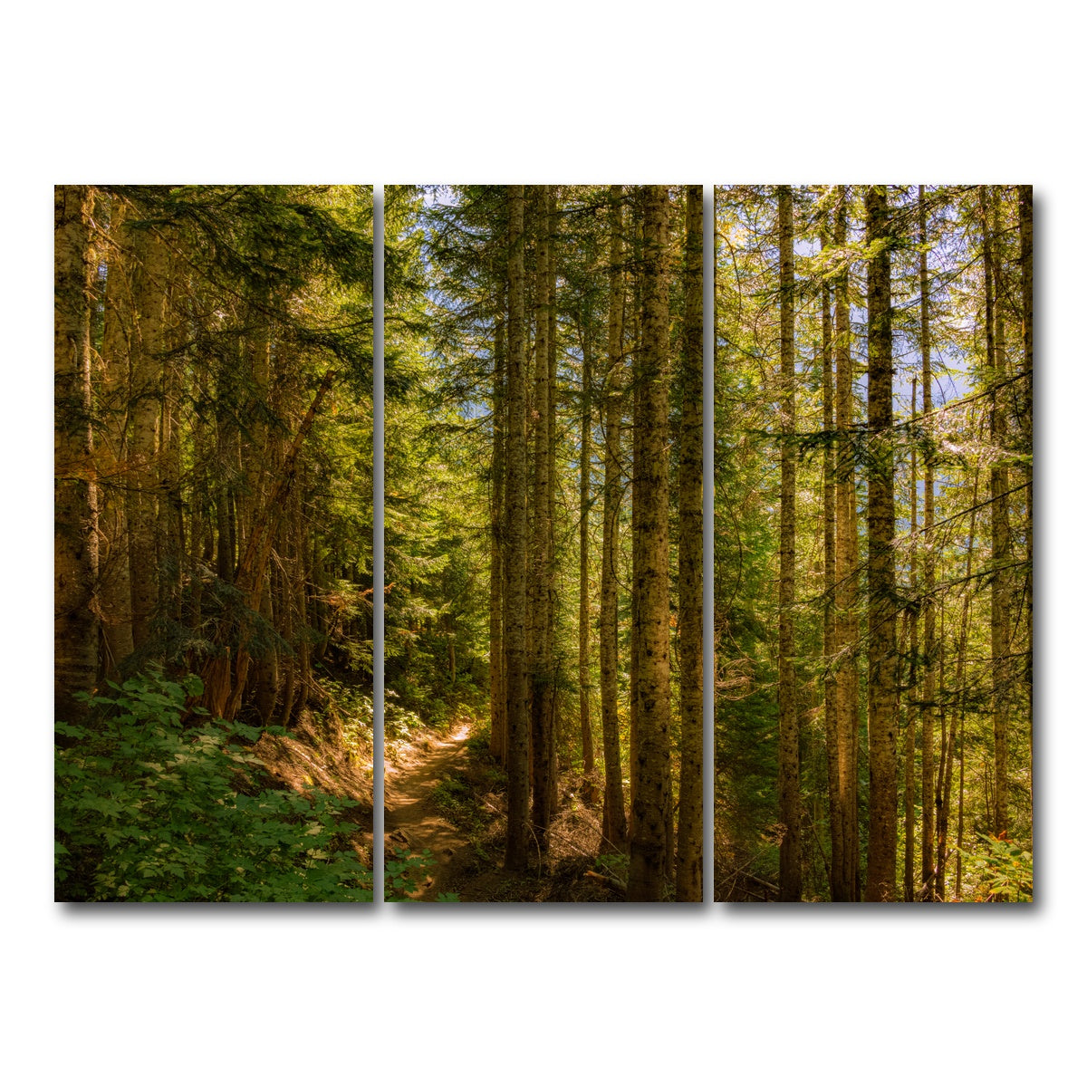 AUTO-MOCKUP WHITE | Cascade Pass | 3 Piece | Gallery Wrap Canvas | group=8x18