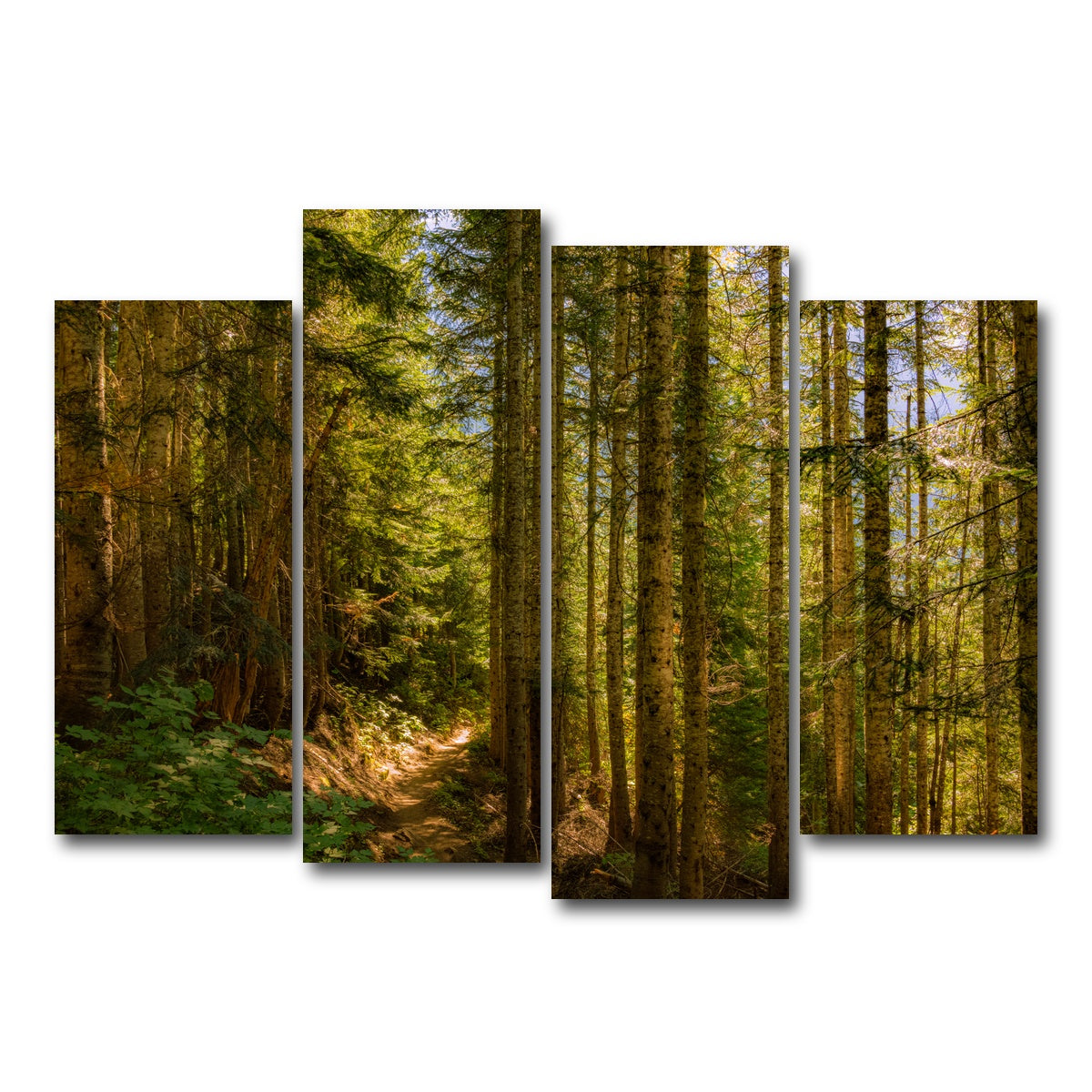 AUTO-MOCKUP WHITE | Cascade Pass | 4 Piece | Gallery Wrap Canvas | group=4_normal