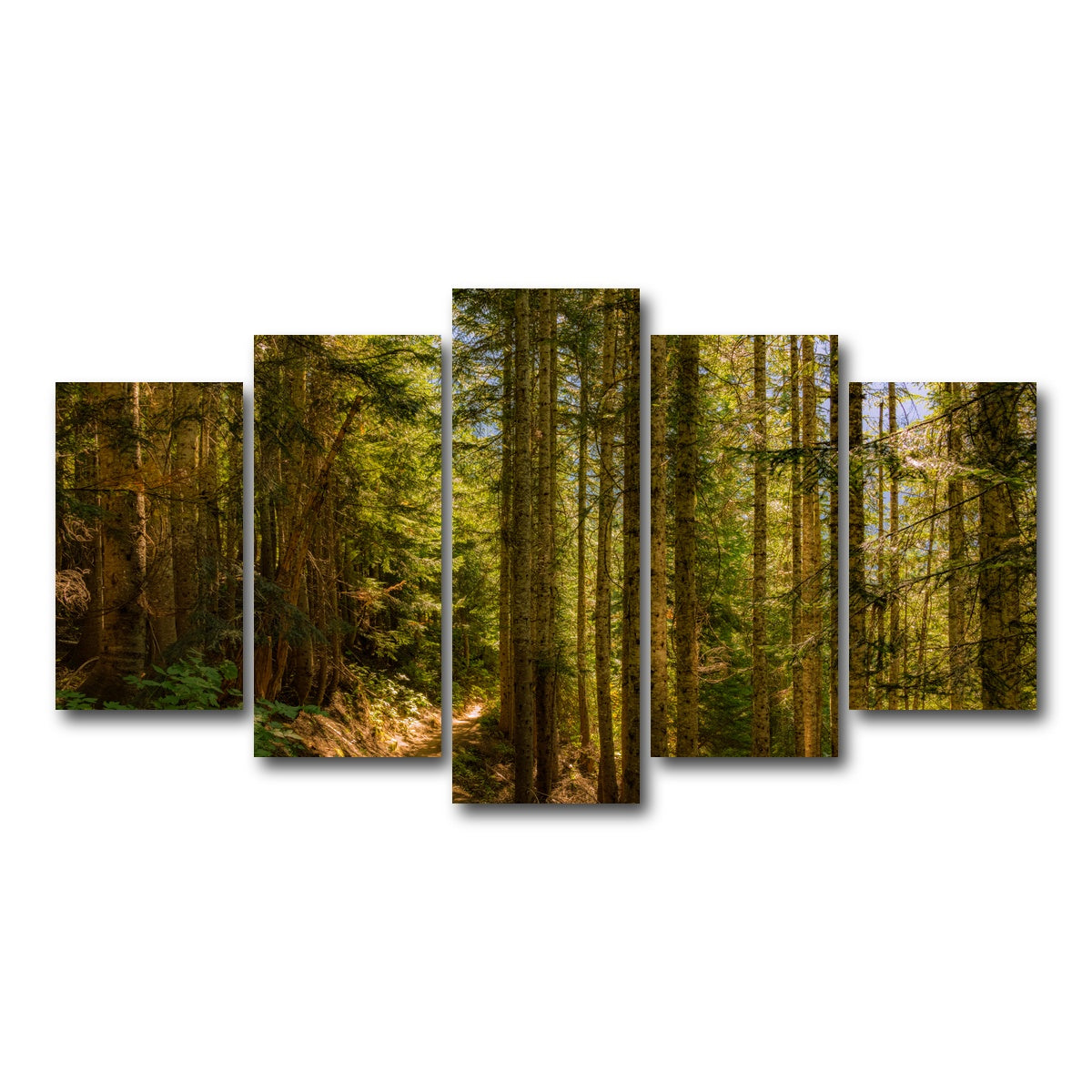 AUTO-MOCKUP WHITE | Cascade Pass | 5 Piece | Gallery Wrap Canvas | group=5_normal