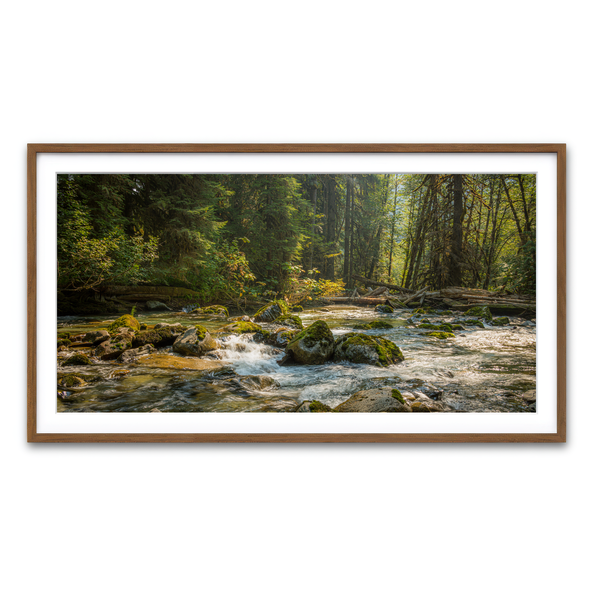 Framed Print 2x1 Walnut