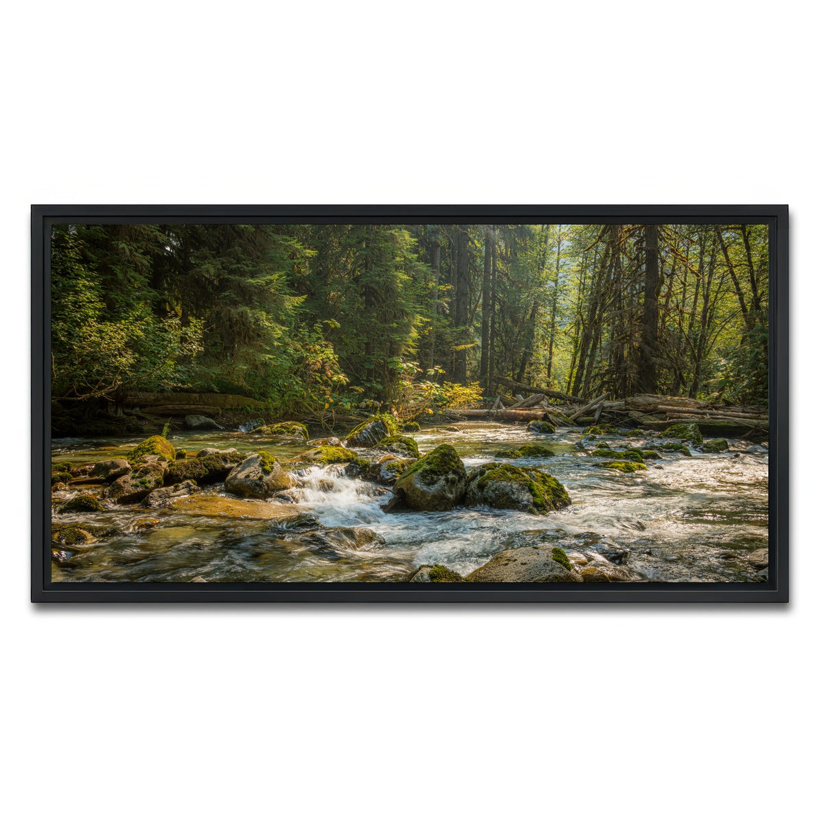 AUTO-MOCKUP WHITE | Cascade River | 1 Piece | Black Framed Canvas | group=2x1