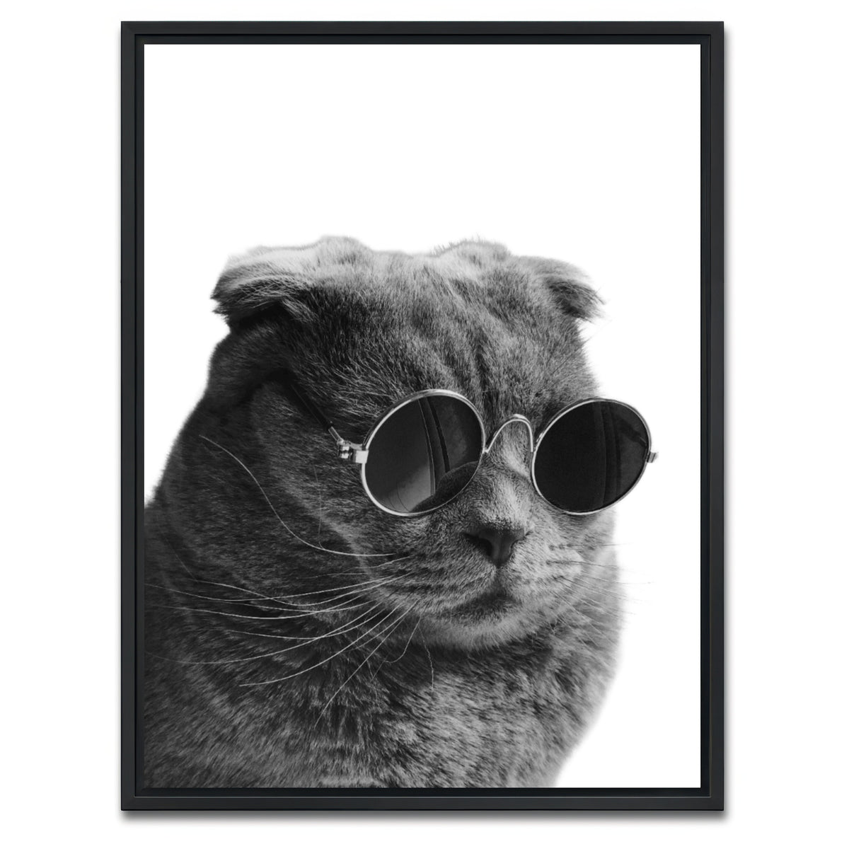 AUTO-MOCKUP WHITE | Cat Cool | 1 Piece | Black Framed Canvas | group=3x4