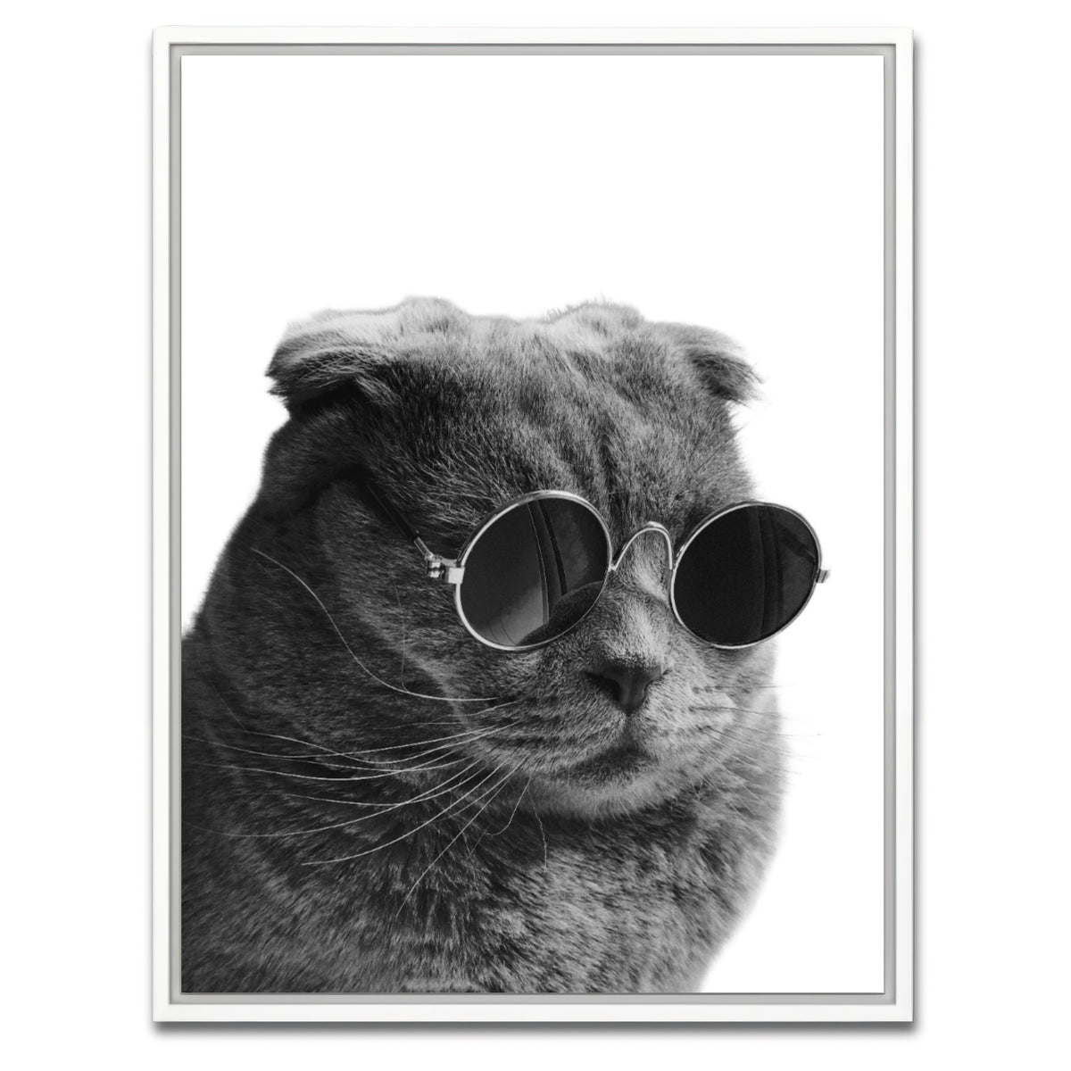 AUTO-MOCKUP WHITE | Cat Cool | 1 Piece | White Framed Canvas | group=3x4