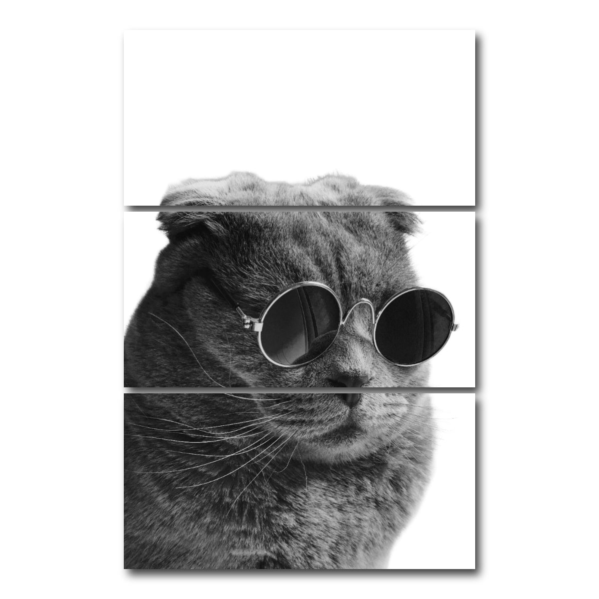 AUTO-MOCKUP WHITE | Cat Cool | 3 Piece | Gallery Wrap Canvas | group=12x24_stacked