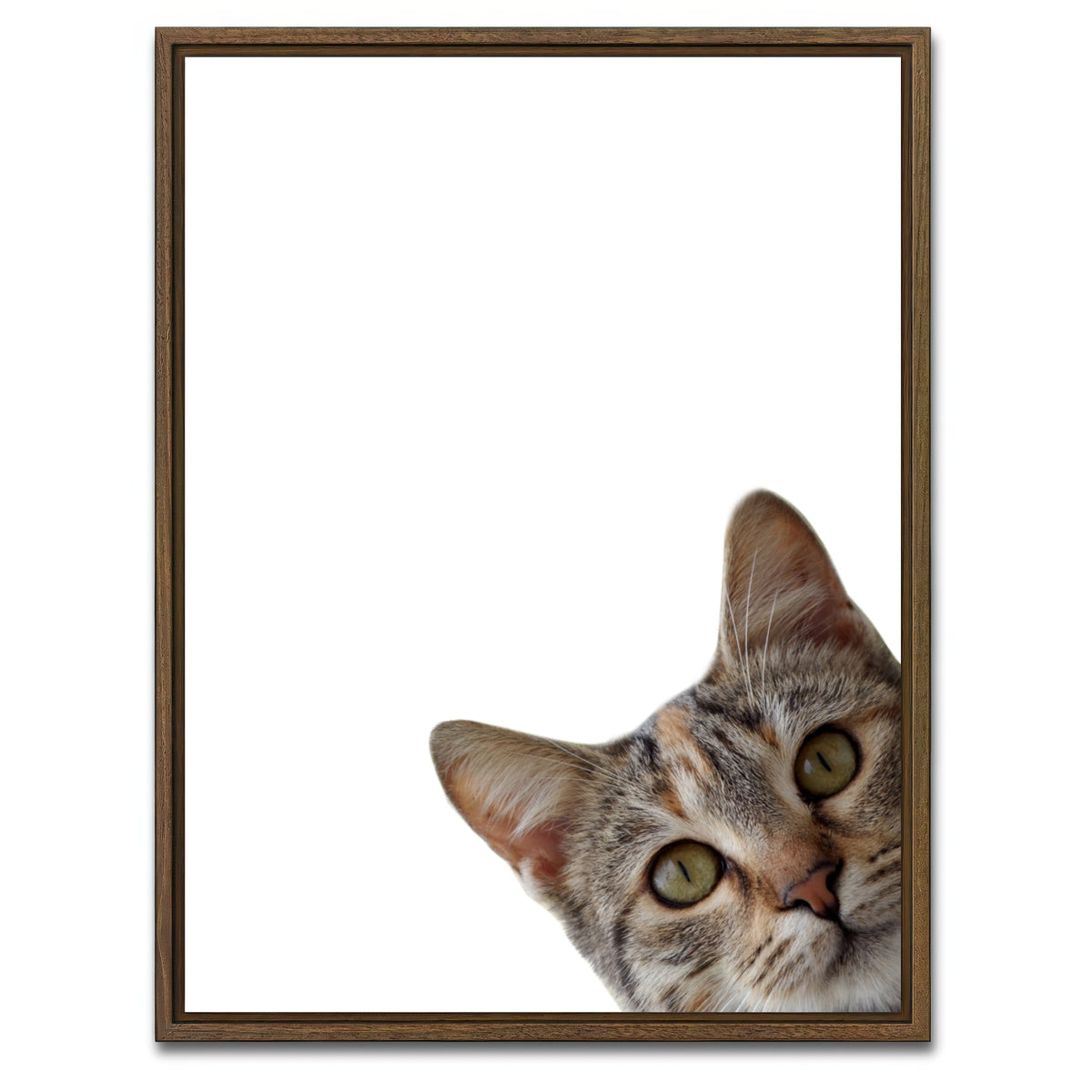 AUTO-MOCKUP WHITE | Cat Face | 1 Piece | Walnut Framed Canvas | group=3x4