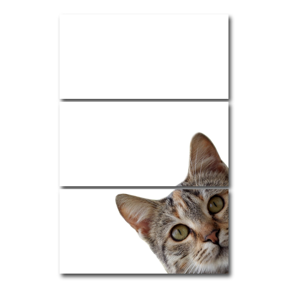 AUTO-MOCKUP WHITE | Cat Face | 3 Piece | Gallery Wrap Canvas | group=12x24_stacked