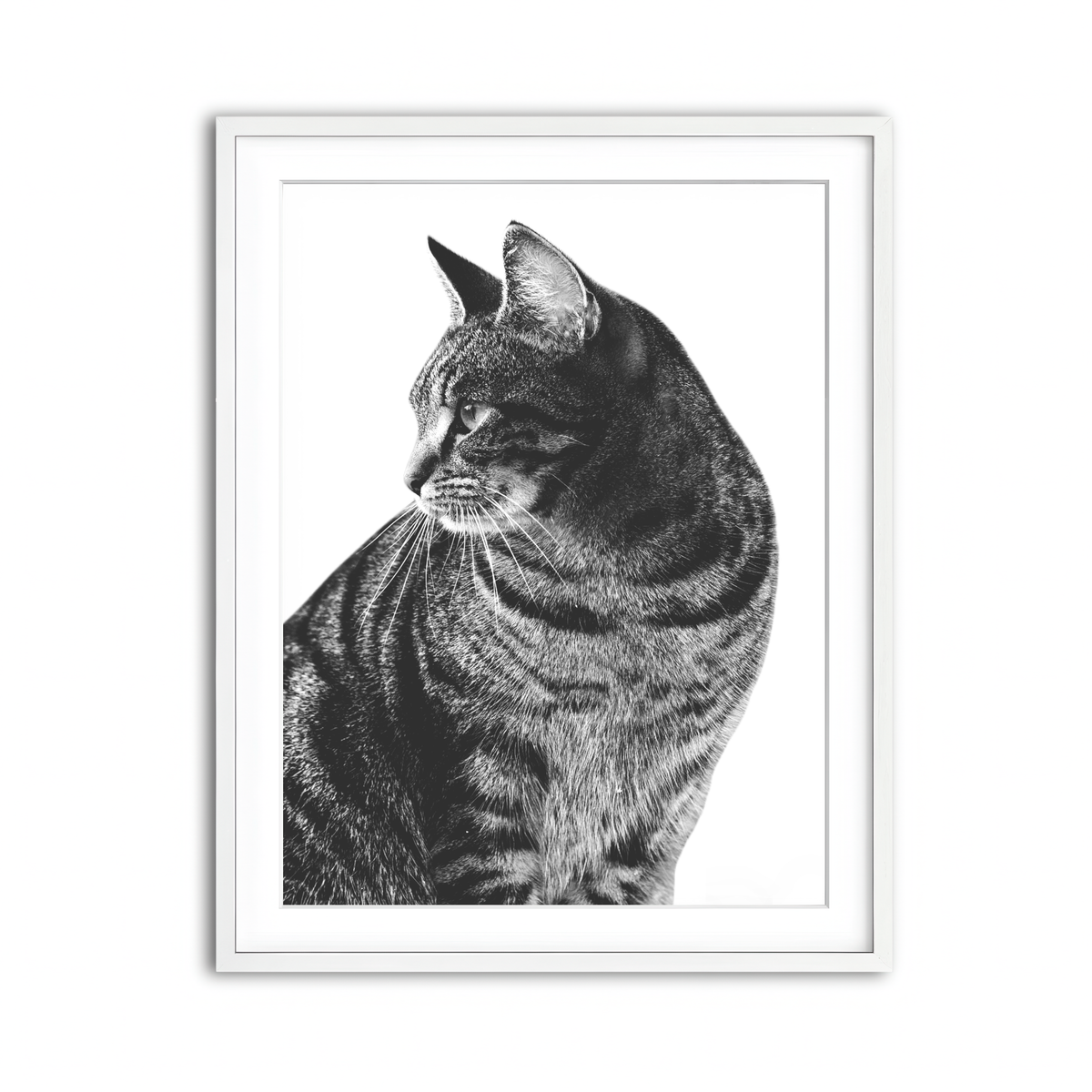 Framed Print 3x4 White