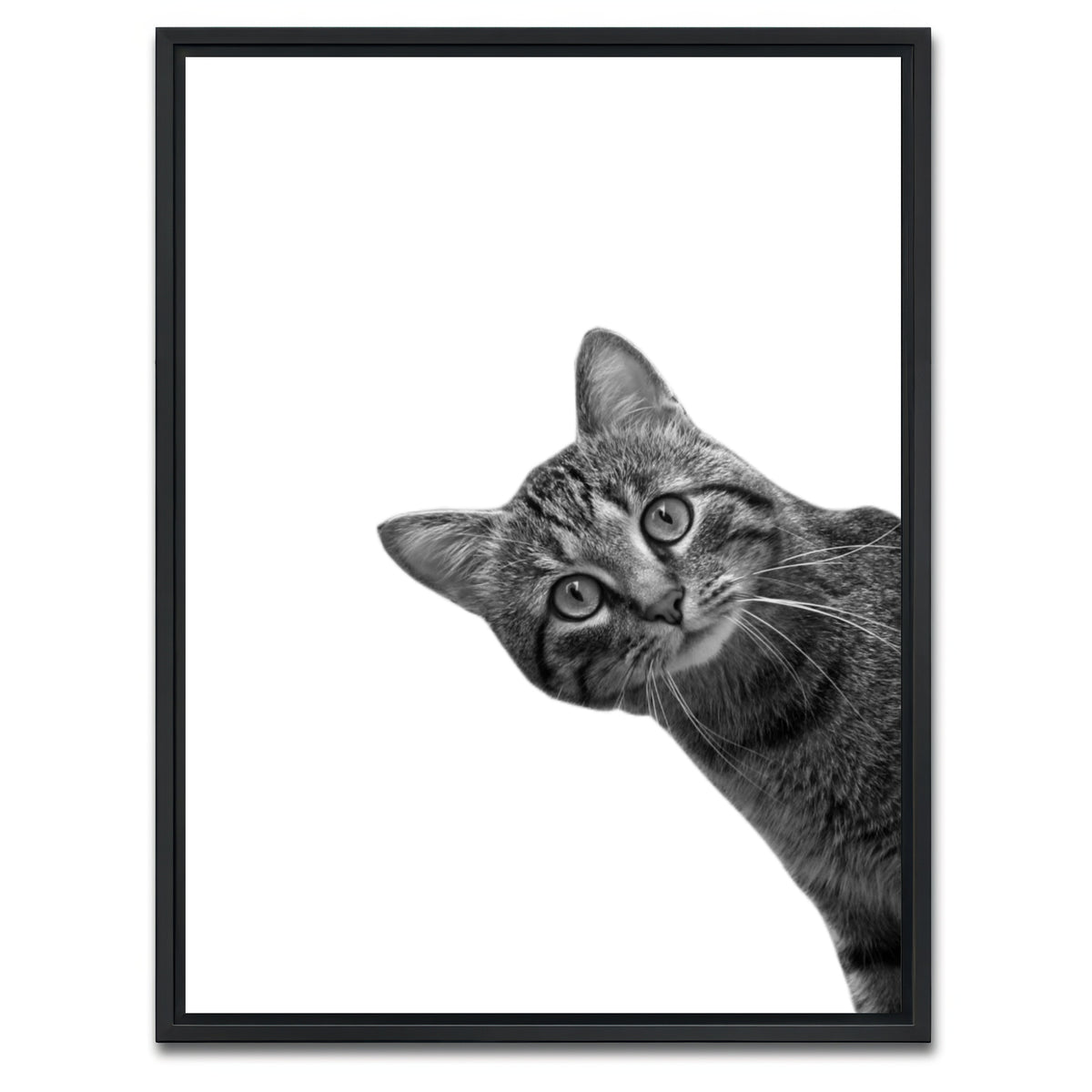 AUTO-MOCKUP WHITE | Cat | 1 Piece | Black Framed Canvas | group=3x4