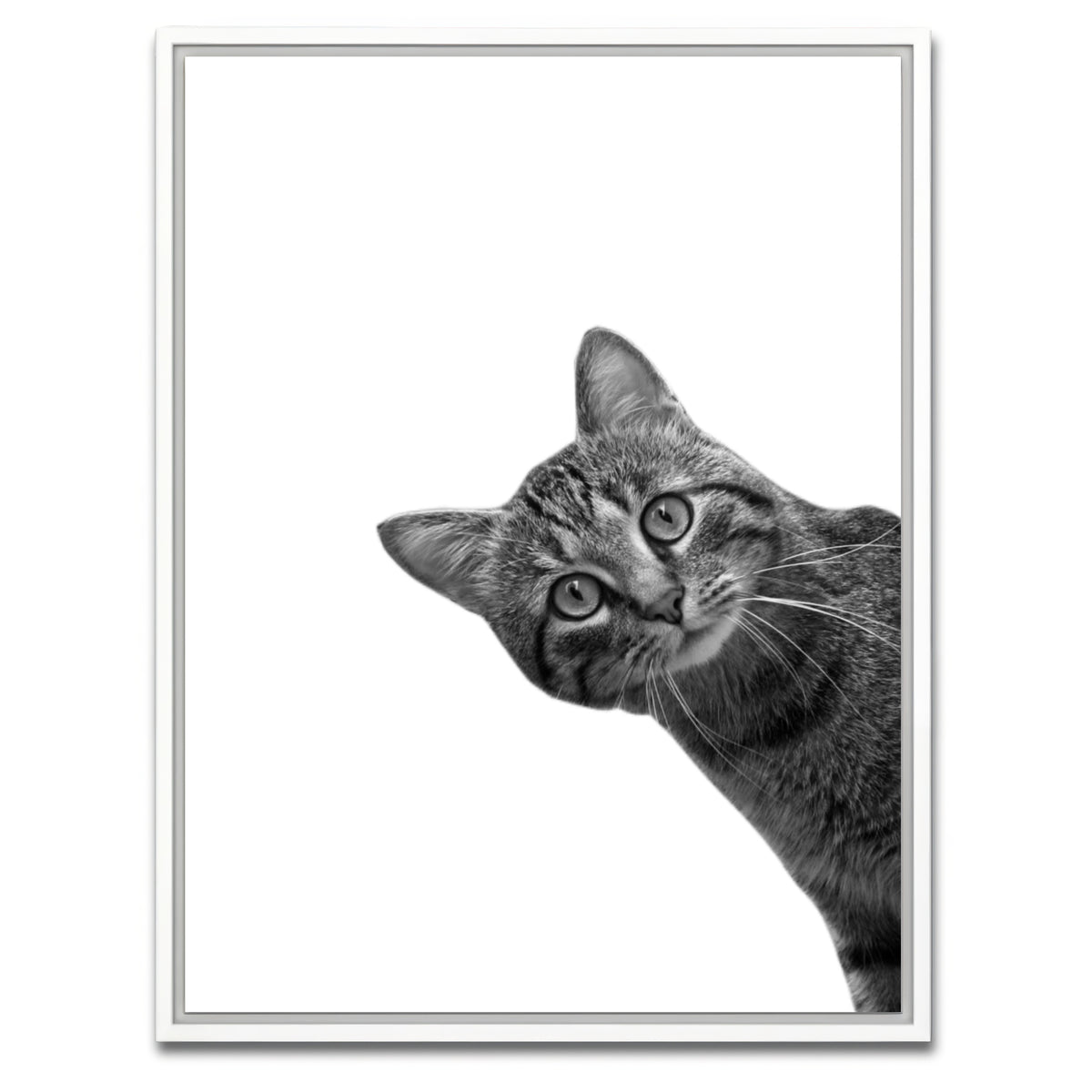 AUTO-MOCKUP WHITE | Cat | 1 Piece | White Framed Canvas | group=3x4
