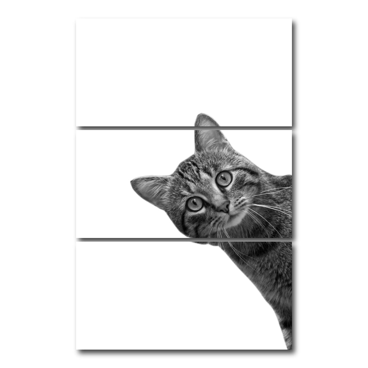 AUTO-MOCKUP WHITE | Cat | 3 Piece | Gallery Wrap Canvas | group=12x24_stacked