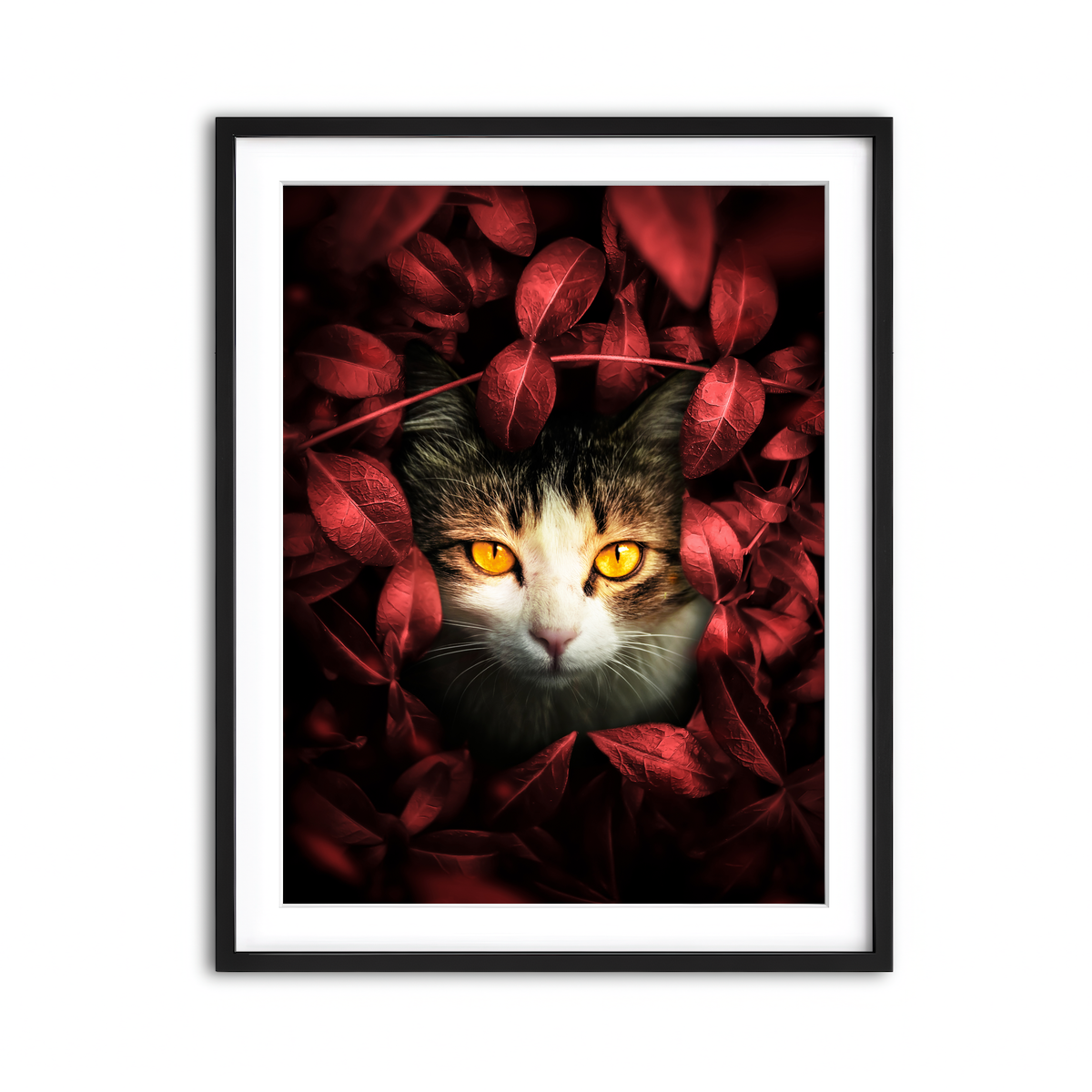 Framed Print 3x4 Black