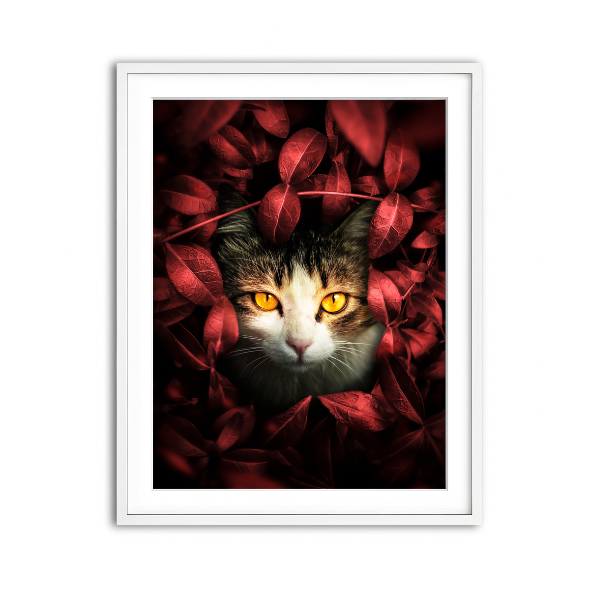 Framed Print 3x4 White