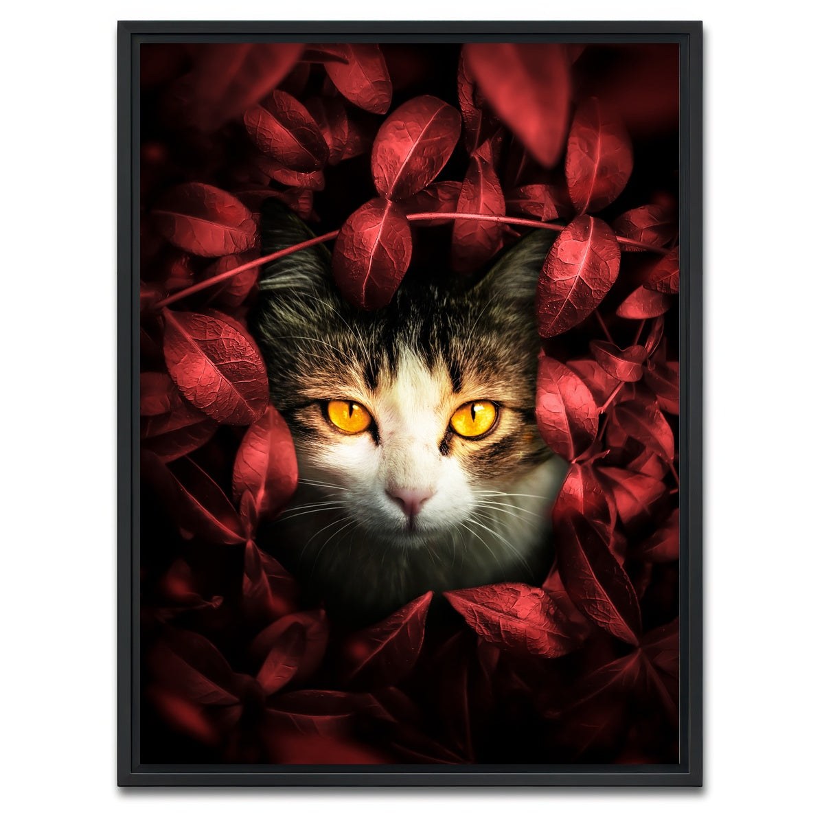 AUTO-MOCKUP WHITE | Cat hunting | 1 Piece | Black Framed Canvas | group=3x4