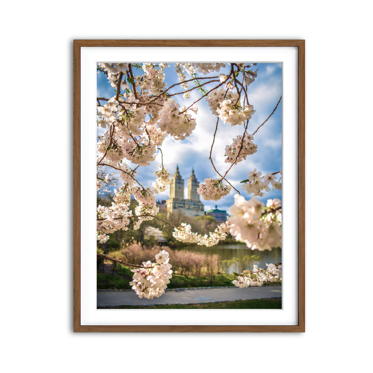 Framed Print 3x4 Walnut