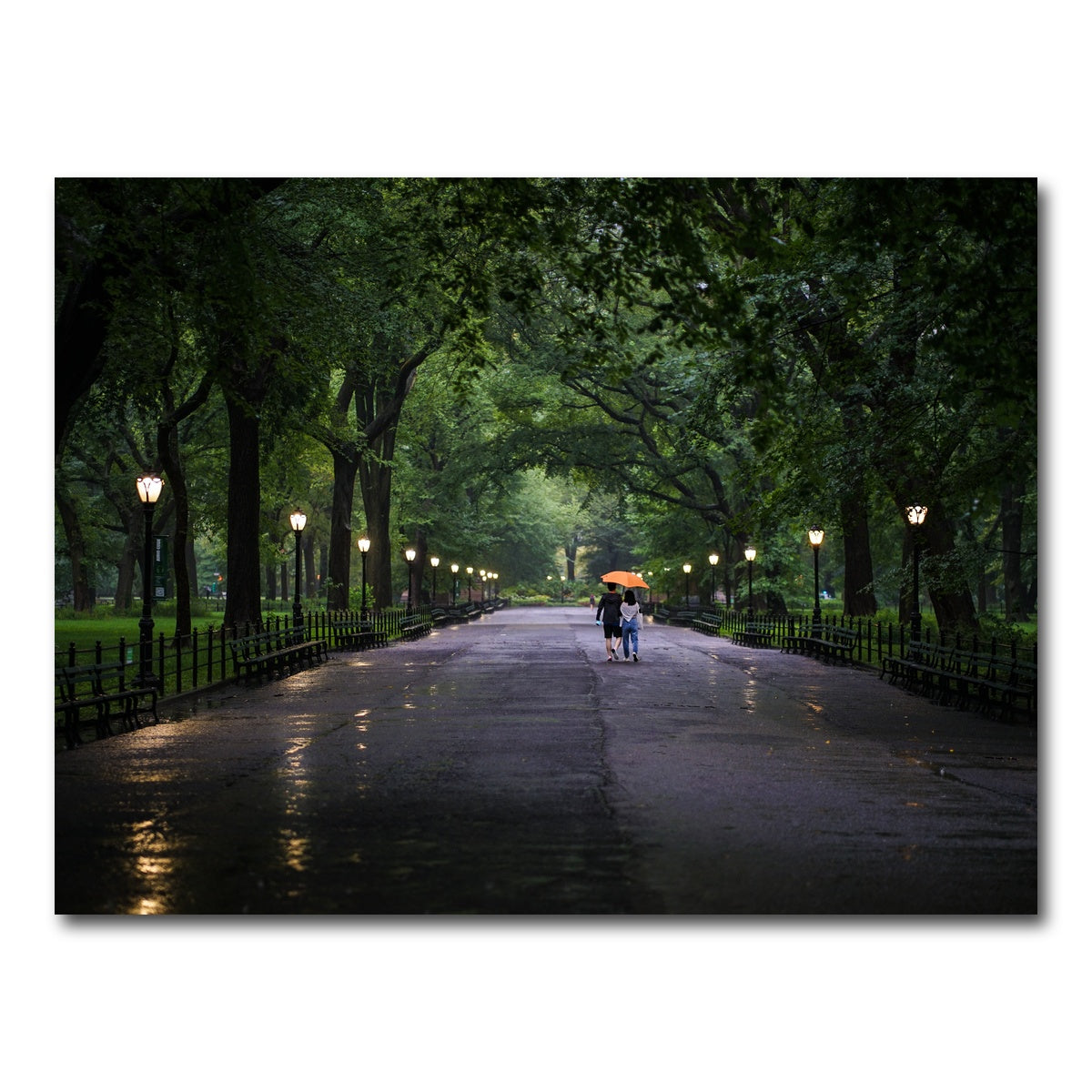 AUTO-MOCKUP WHITE | Central Park Walk | 1 Piece | Gallery Wrap Canvas | group=4x3