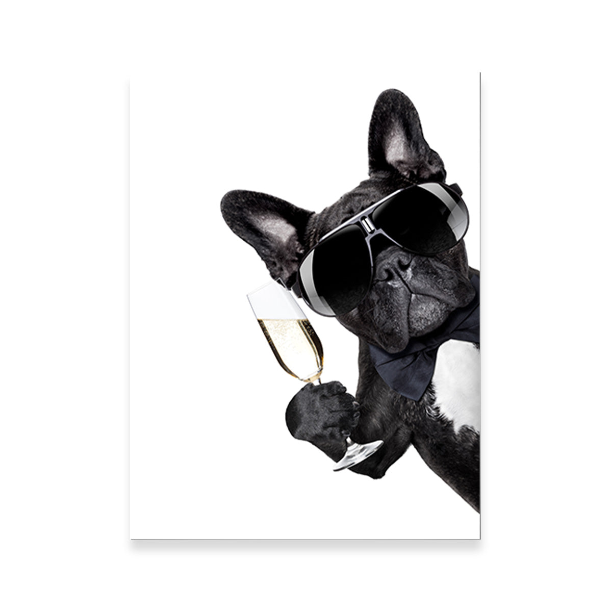 Champagne Dog Wall Art