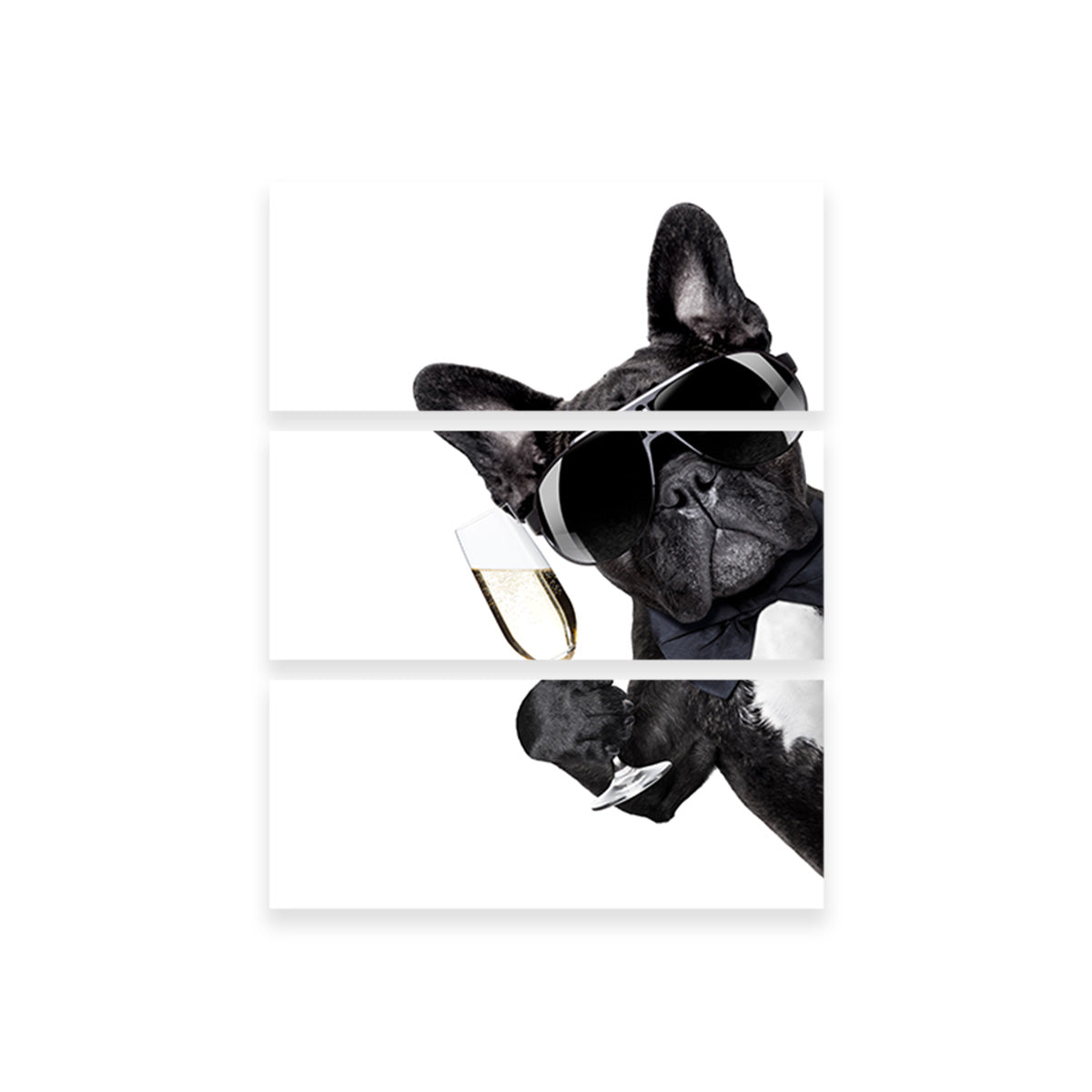 Champagne Dog Wall Art