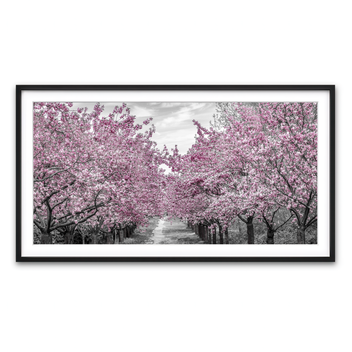 Framed Print 2x1 Black