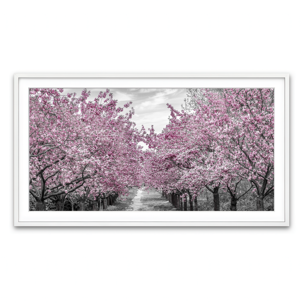 Framed Print 2x1 White