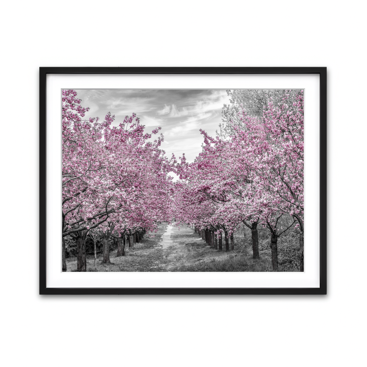 Framed Print 4x3 Black