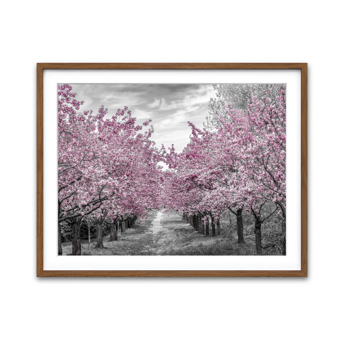 Framed Print 4x3 Walnut