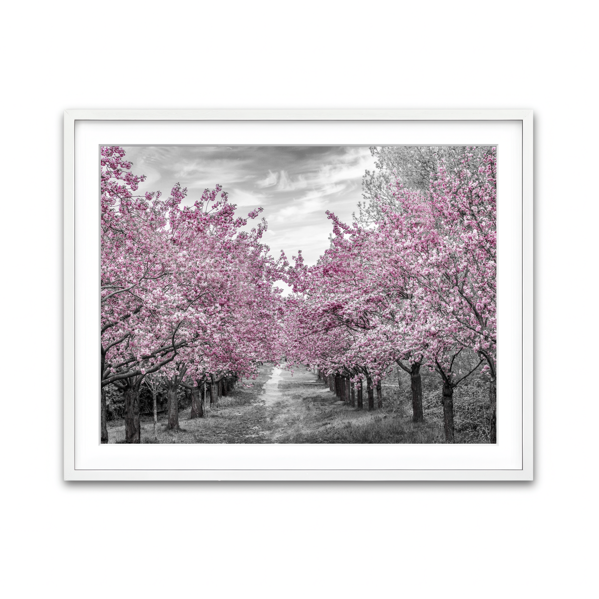 Framed Print 4x3 White