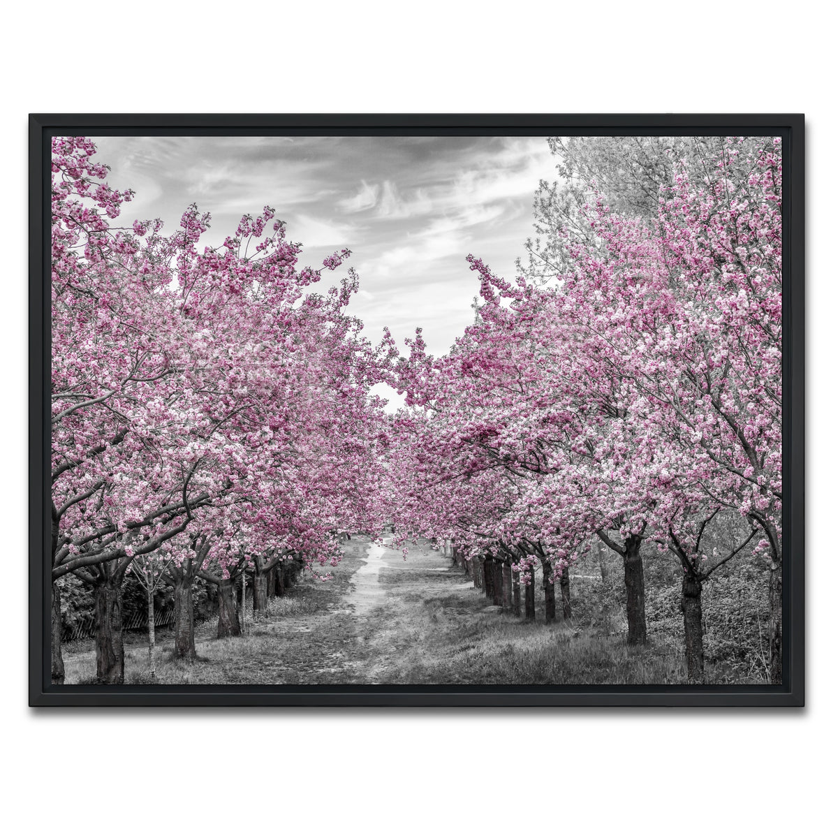 AUTO-MOCKUP WHITE | Charming Cherry Blossom Alley | 1 Piece | Black Framed Canvas | group=4x3