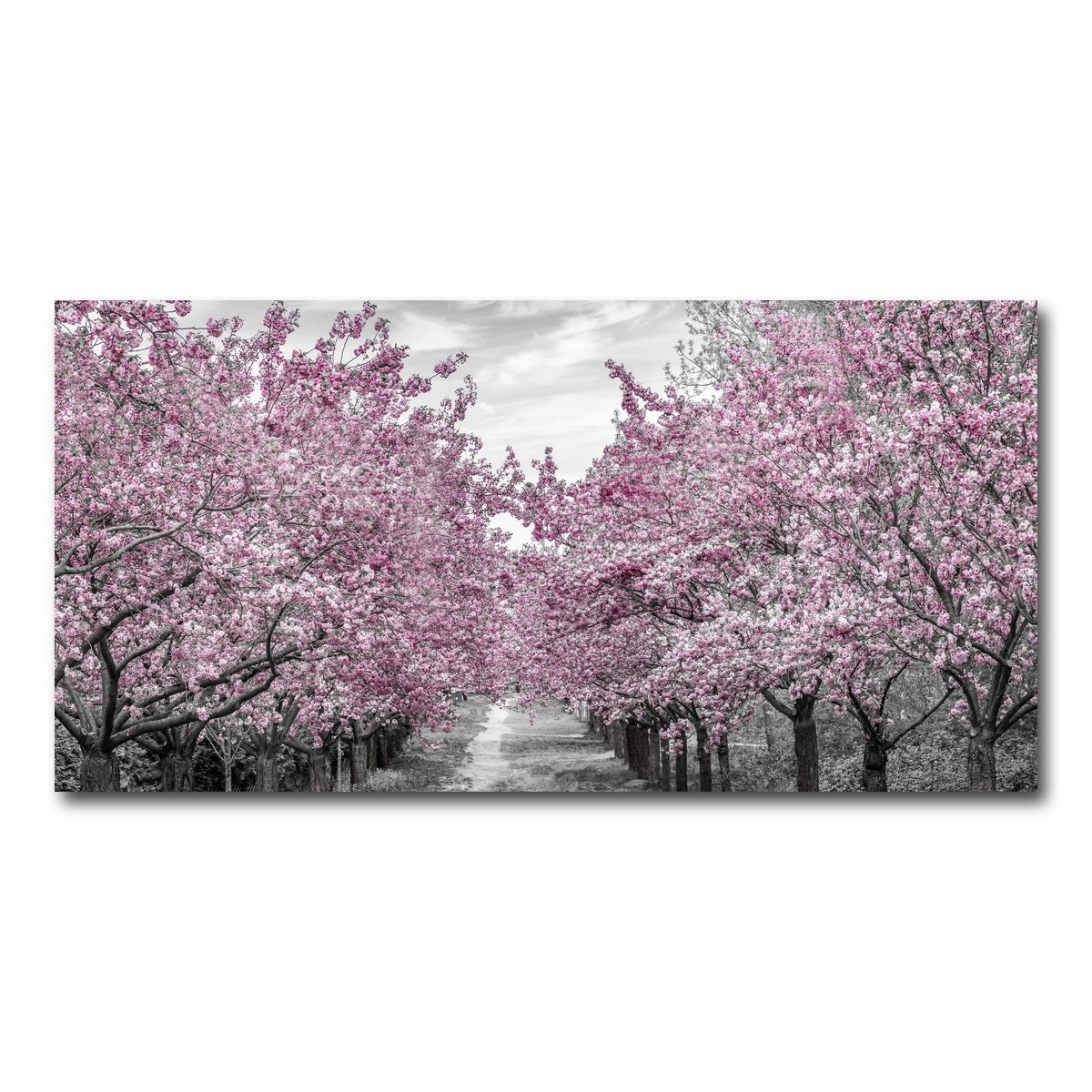 AUTO-MOCKUP WHITE | Charming Cherry Blossom Alley | 1 Piece | Gallery Wrap Canvas | group=2x1