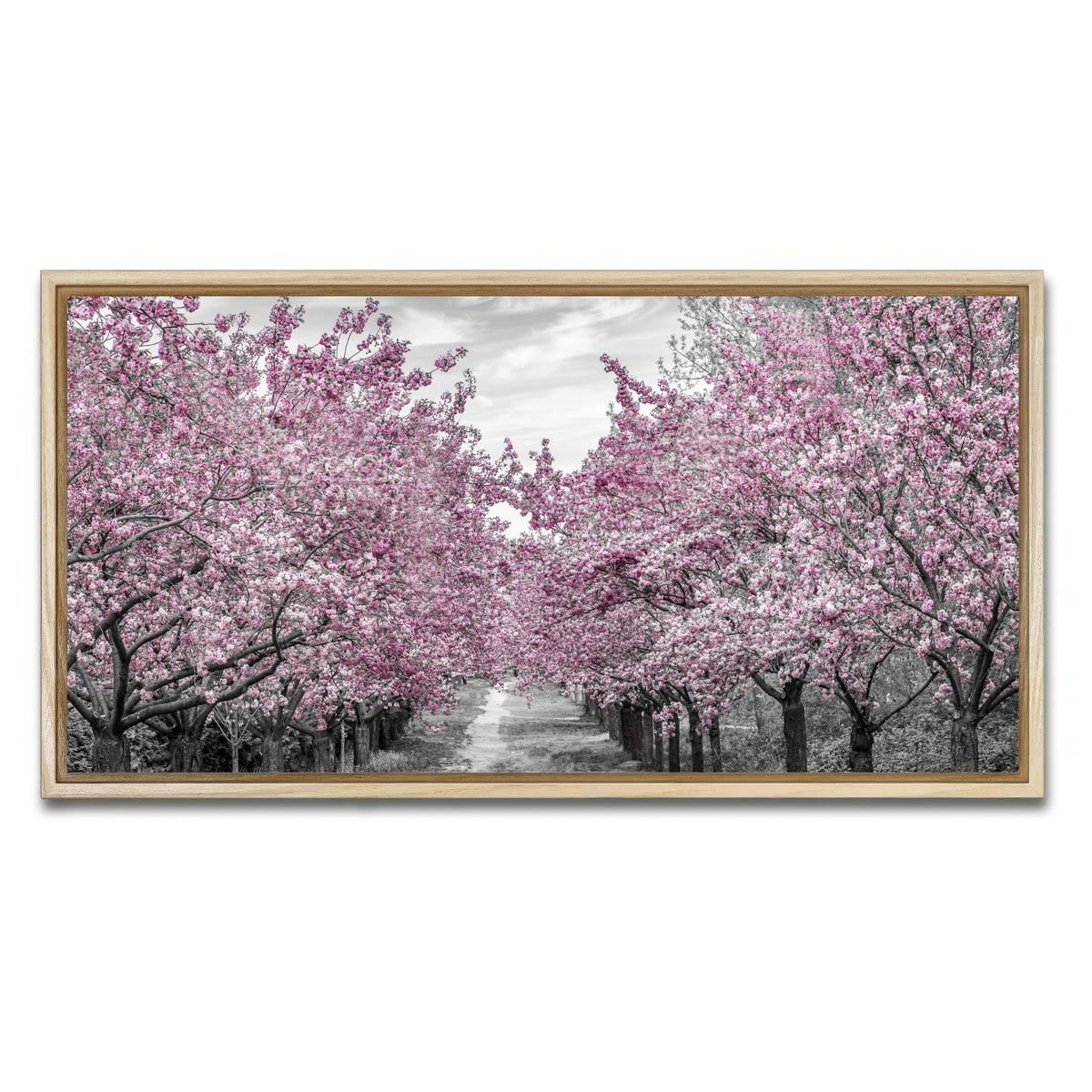 AUTO-MOCKUP WHITE | Charming Cherry Blossom Alley | 1 Piece | Natural Framed Canvas | group=2x1