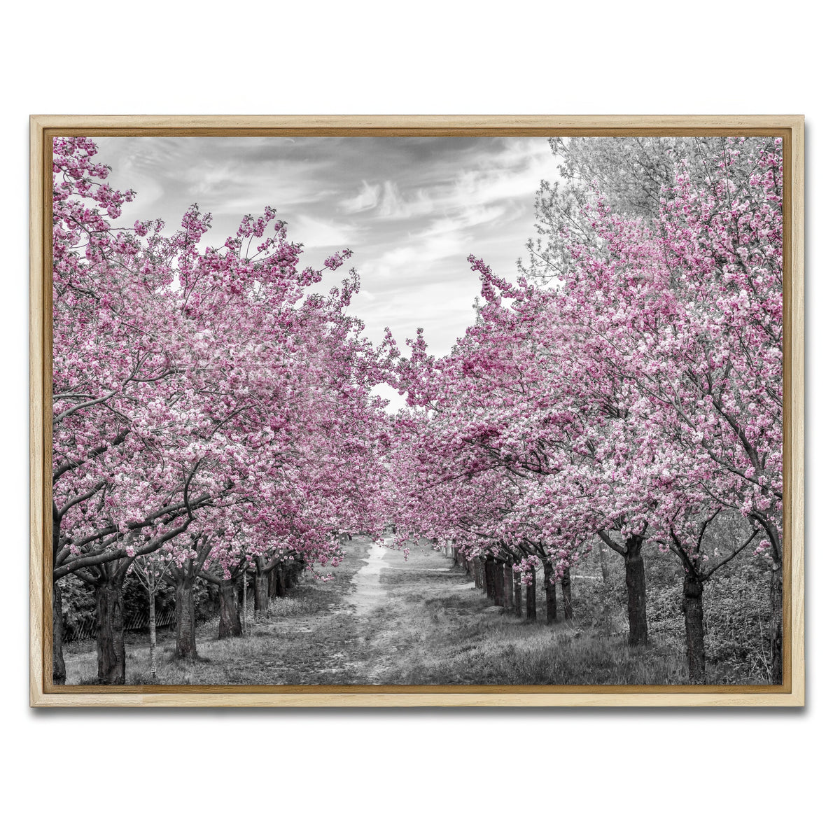 AUTO-MOCKUP WHITE | Charming Cherry Blossom Alley | 1 Piece | Natural Framed Canvas | group=4x3
