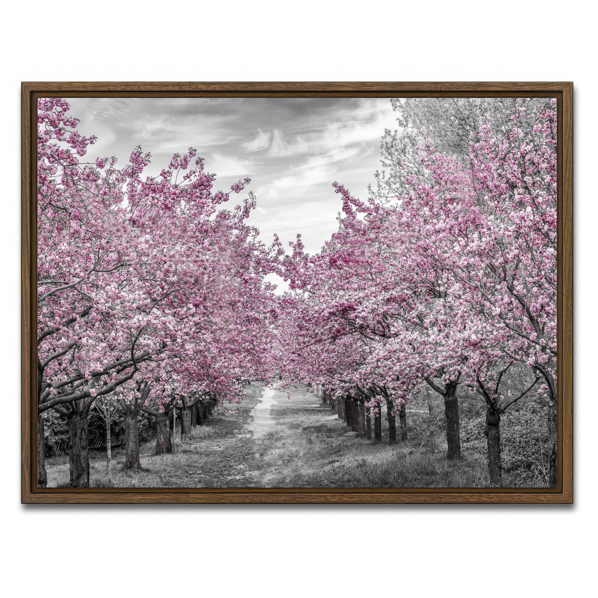 AUTO-MOCKUP WHITE | Charming Cherry Blossom Alley | 1 Piece | Walnut Framed Canvas | group=4x3